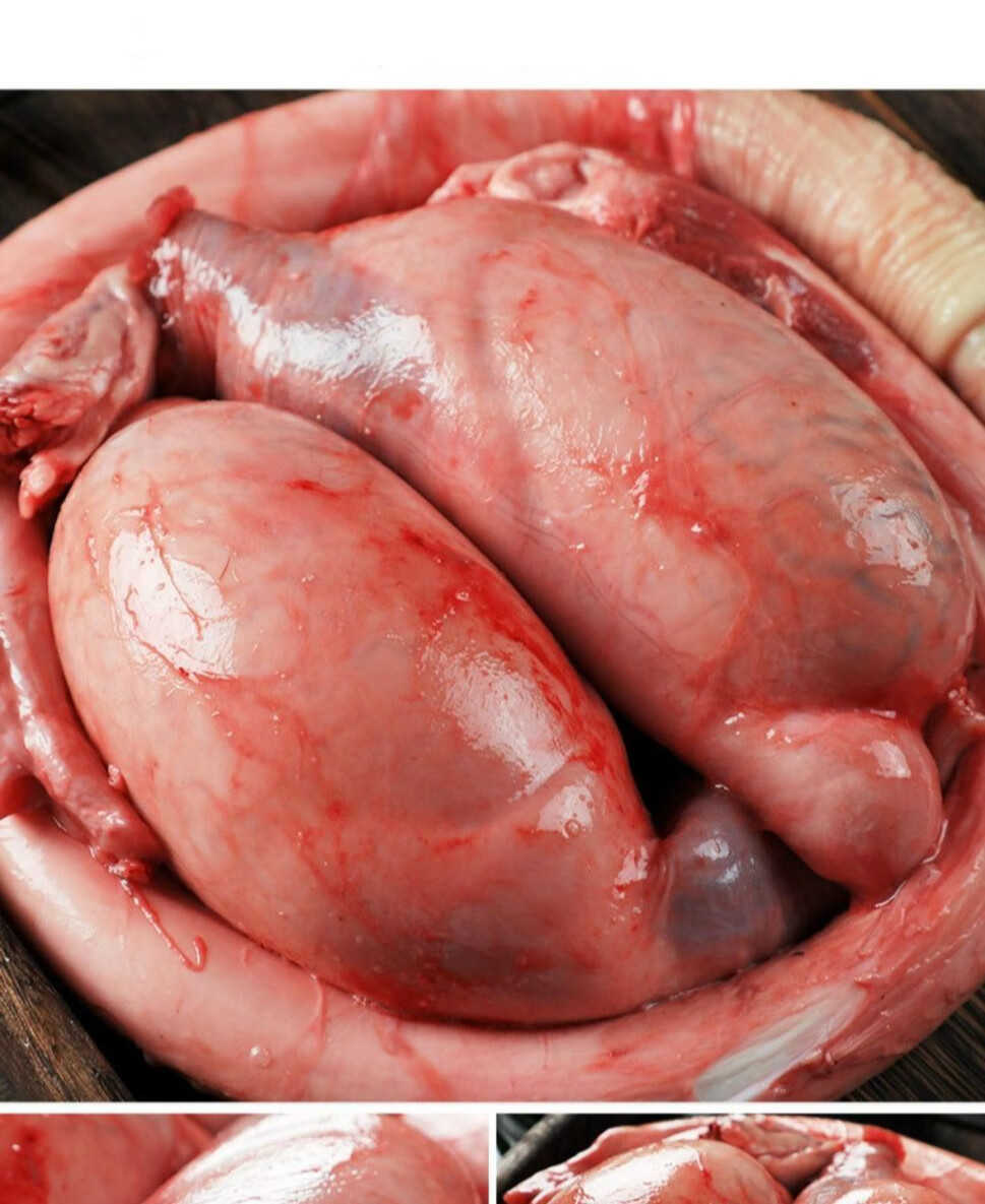 牛鞭牛蛋牛睾丸新鲜速冻现杀牛三宝整套牛鞭整根炖汤炒菜食材批发丽鲜