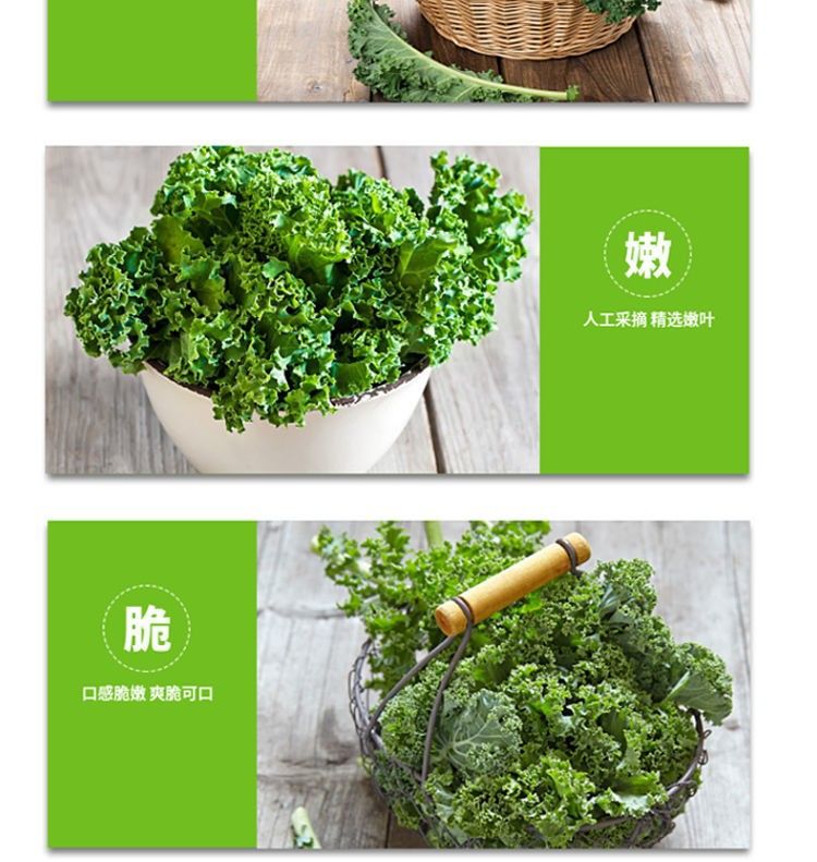 新鲜羽衣甘蓝沙拉菜西餐食用叶营养丰富健身榨汁蔬菜1000g 500g