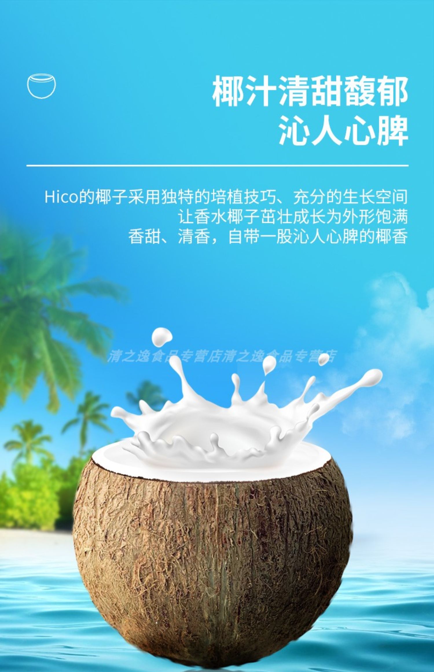 泰国进口椰子汁果味饮料整箱夏季饮品300mlx12瓶尝鲜价300mlx5瓶五