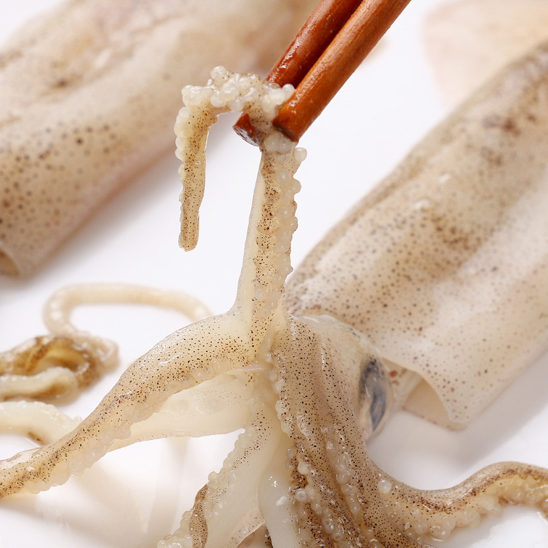 【顺丰现货】新鲜笔管鱼 海兔小墨鱼仔 顺丰空运 海兔子 满籽籽乌新