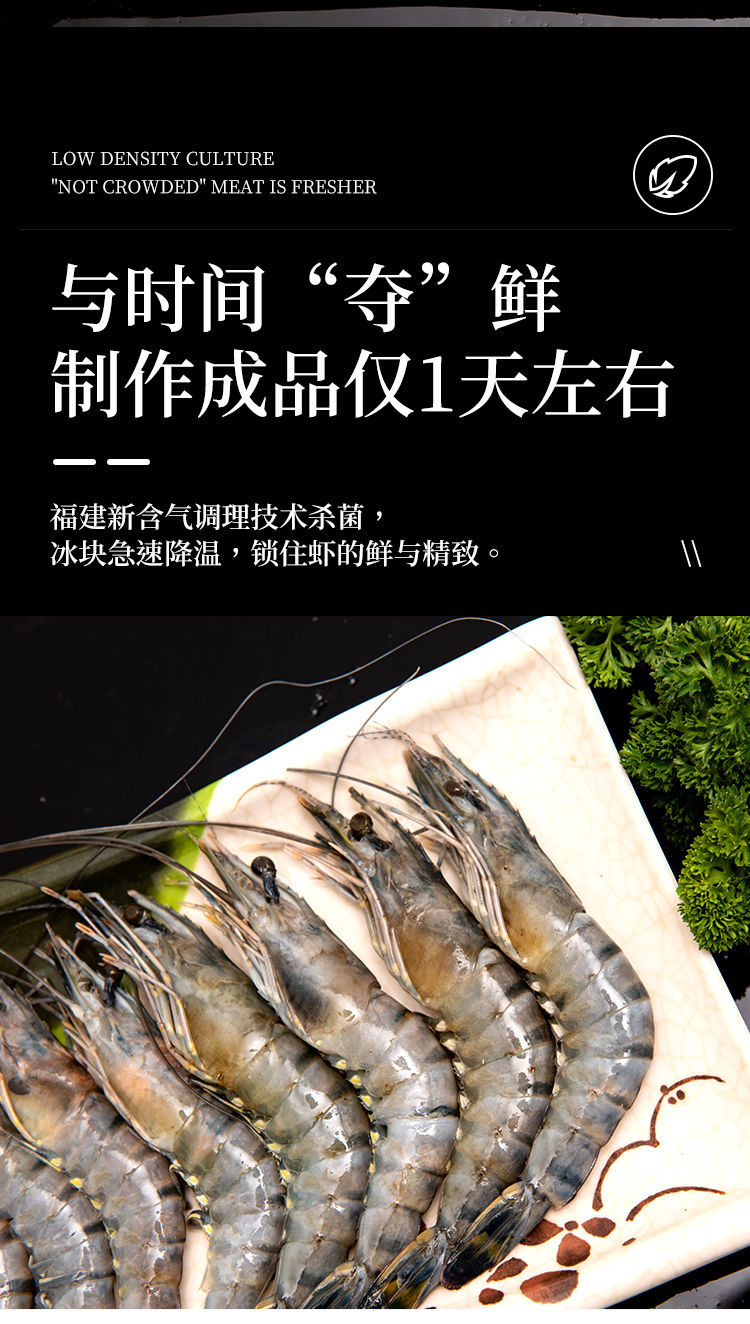 福建海捕黑虎虾新鲜大草虾鲜活海鲜冷冻水产九节虾斑节虾食材福建海捕