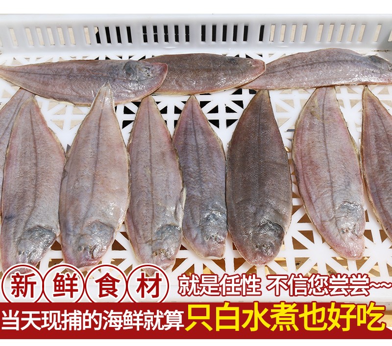 龍利魚海捕舌頭魚踏板魚鰨目魚魚柳子板魚海鮮水產海魚 中大號 五斤