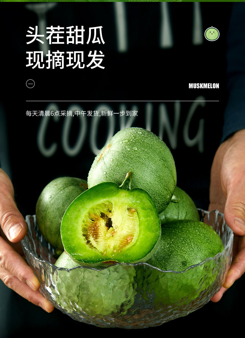 柘城助农馆绿宝石甜瓜香瓜脆瓜现摘甜青皮小瓜蜜瓜净重5斤果单果200g