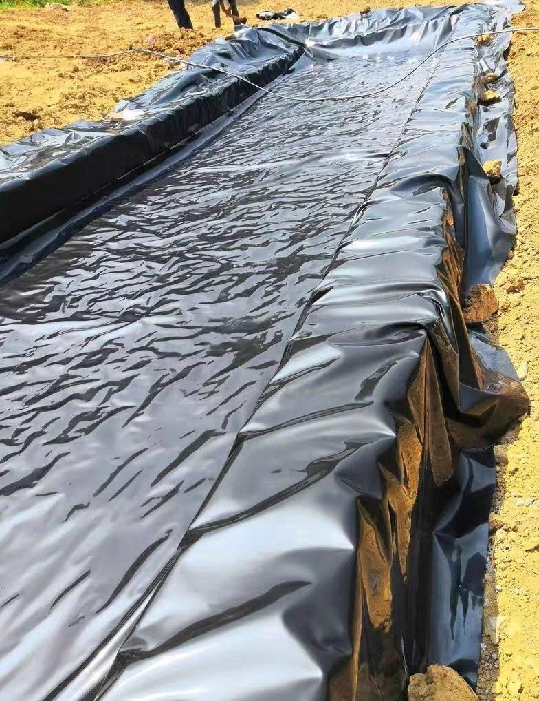 幻翎批发鱼塘膜水池膜防漏防逃膜鱼塘护坡膜鱼池防渗膜虾塘防逃膜定做