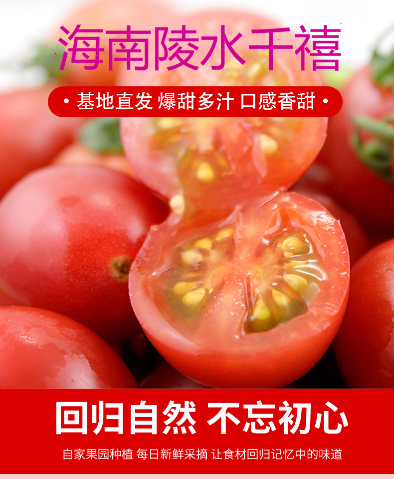 健康轻食圣女果孕妇新鲜水果 玲珑小千禧4斤