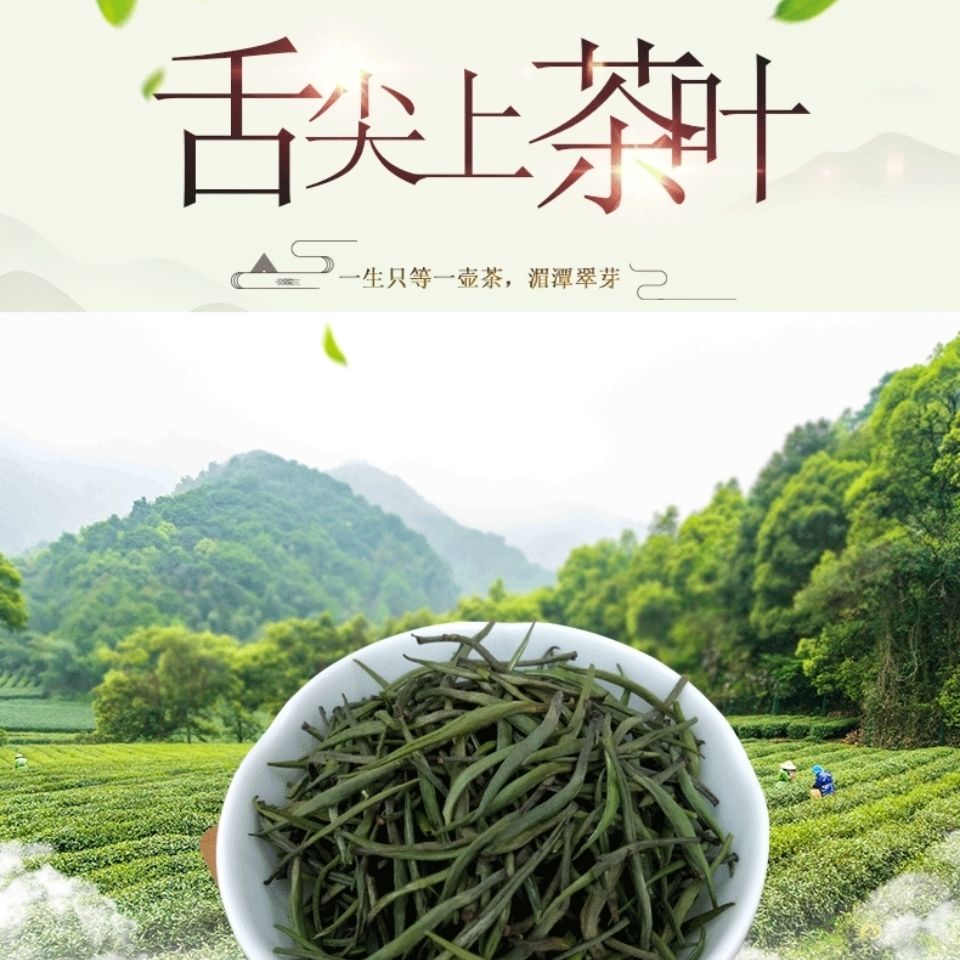 贵州,贵州雀舌,,贵州针茶,原茶叶味,清香型散装 250克罐装【图片 价格