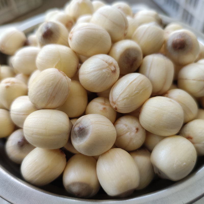 新鲜成熟莲子去壳鲜莲肉 带膜江西广昌特产炖汤粉糯