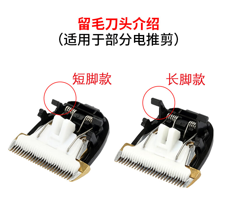 6f0ce234abab7a55.jpg