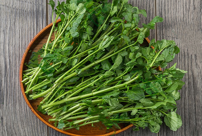 新鲜西洋菜3斤 豆瓣菜 现货速发煲汤 1500g