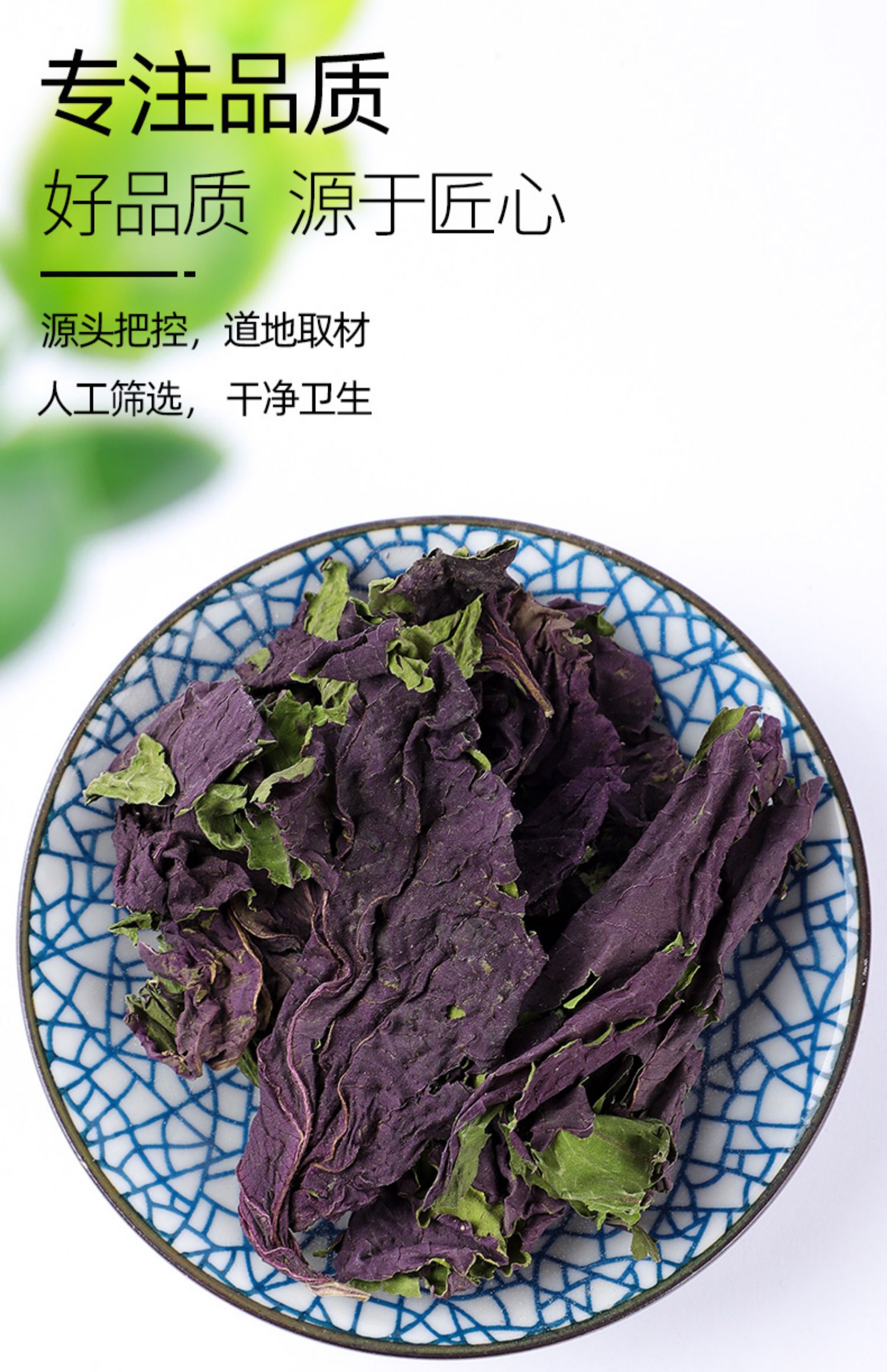 北京同仁堂紫苏叶中药500g新鲜食用干野生特级泡澡泡脚苏子叶去腥药材