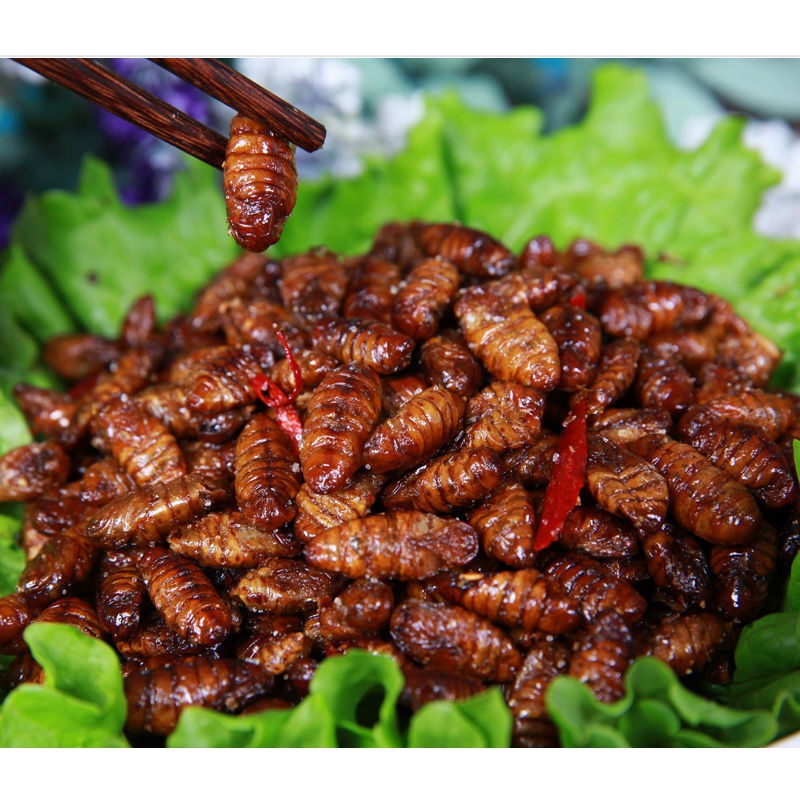 蚕蛹子新鲜蛹干蝉蛹蚕蛹一包至十包多规格 ***香酥蚕蛹 香辣蚕蛹***