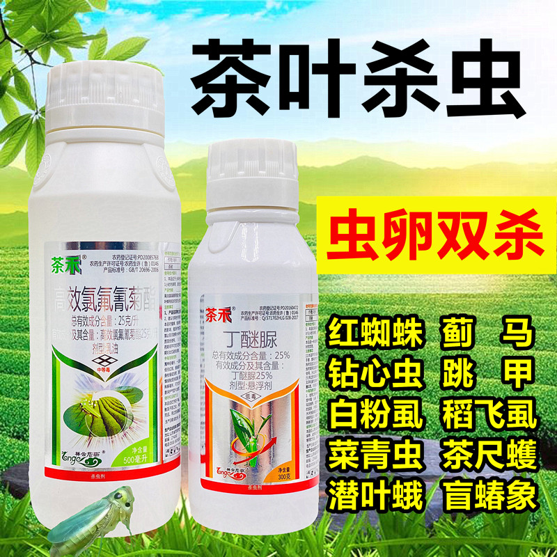 茶树茶叶杀虫剂丁醚脲农药店氯氰氟菊酯高效大全茶小绿叶蝉白飞虱800g