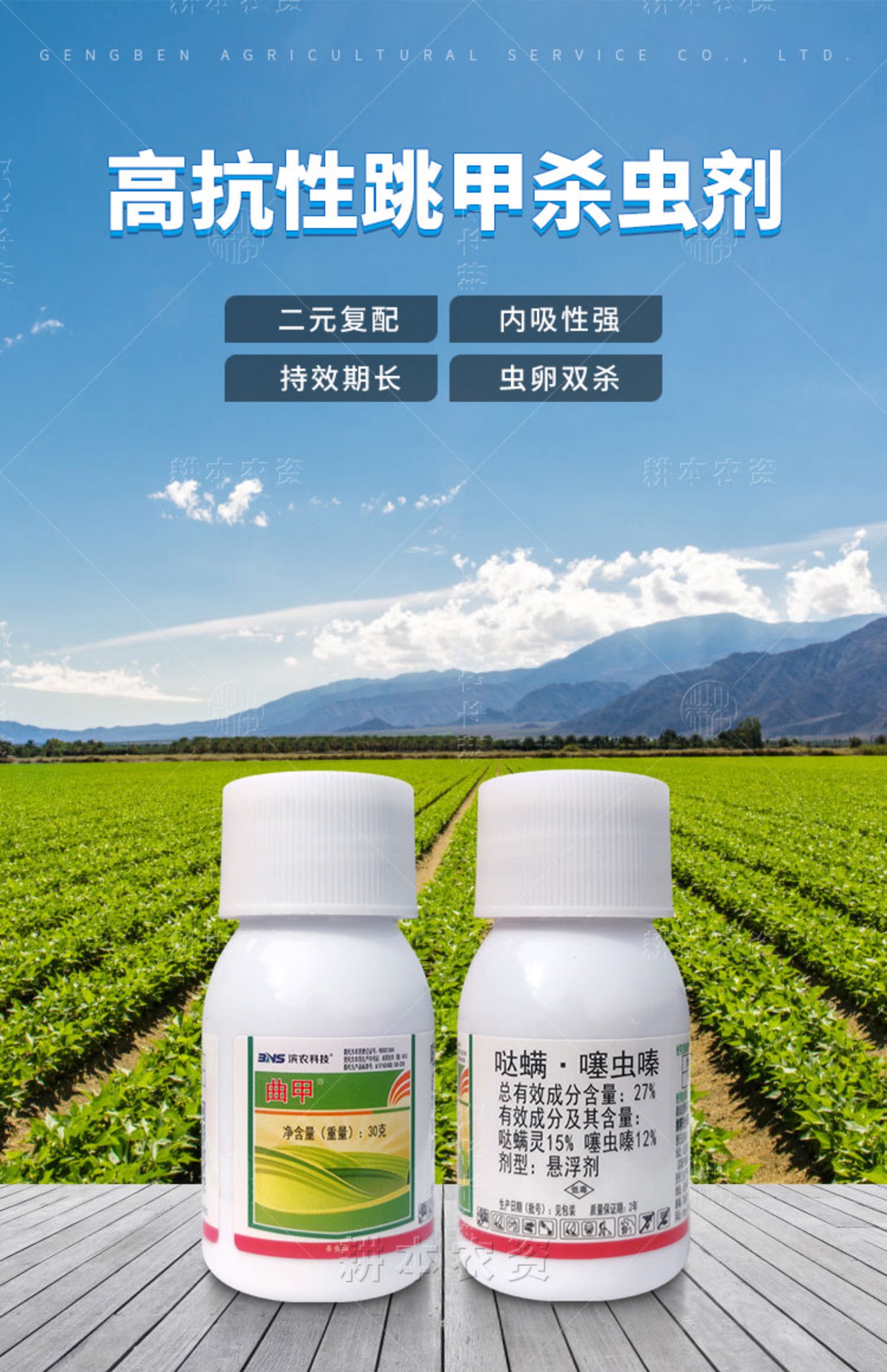 跳甲专用杀虫剂专杀打叶甲黄守瓜黄曲条跳甲二十八星瓢虫紫茎甲药30g