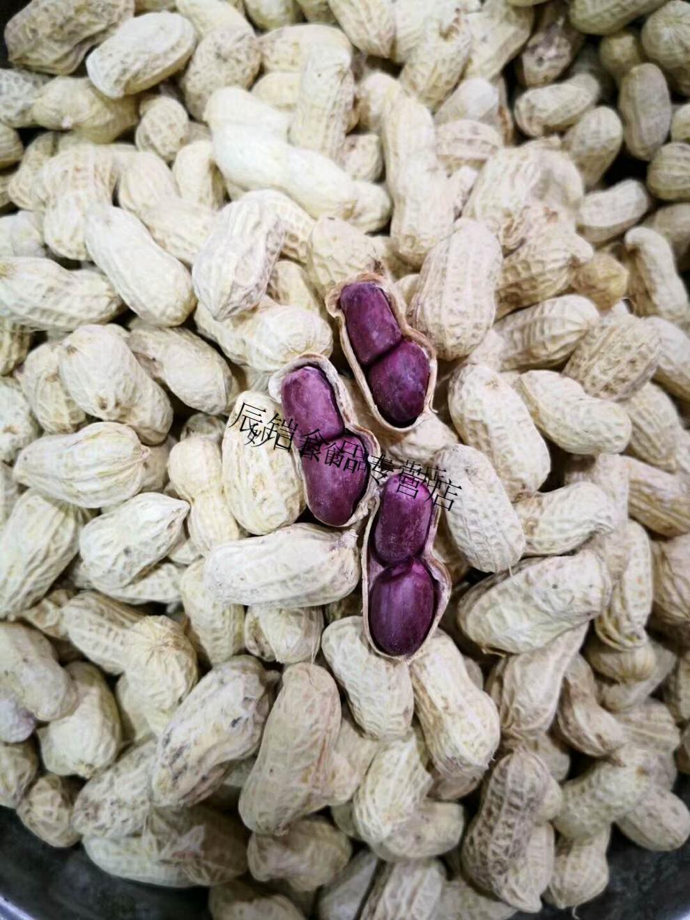 福建紫皮花生龙岩连城白晒水煮湿烤花生香酥脆烘烤紫衣花生500g紫衣湿
