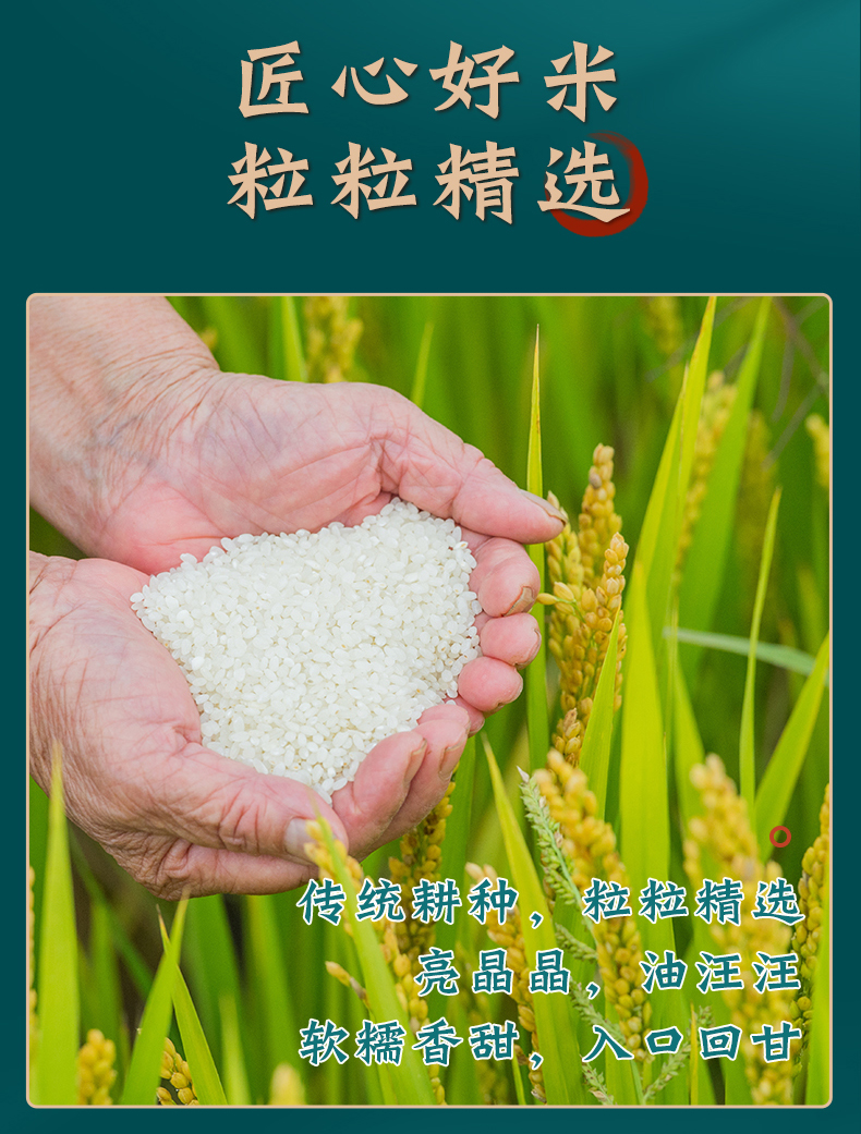 融雪松江老来青2021新米10kg5kg软香米真空上海大米晚粳 20斤【图片