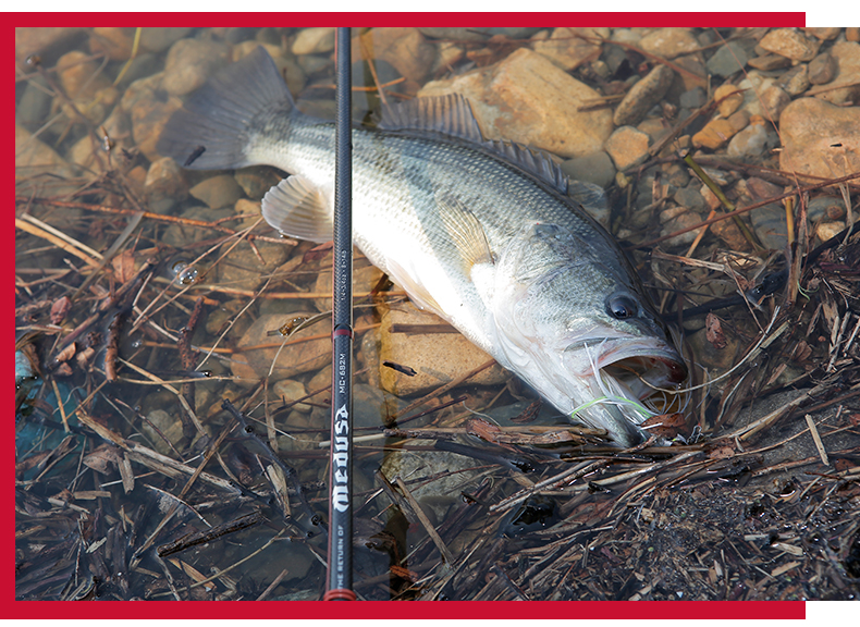 ns渔具美杜莎路亚竿medusa淡水路亚竿直柄轻碳素底钓鱼竿抛竿渔具mc