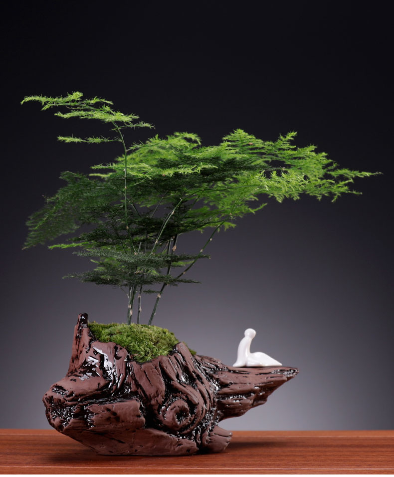品质保证创意禅意文竹造型盆栽植物客厅室内绿植常青盆景书房办公桌面