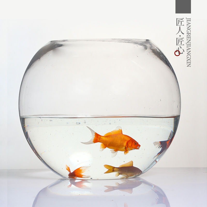 50cm特大号圆形玻璃鱼缸超大圆球形圆鱼缸圆型桌面大号鱼缸玻璃缸号50