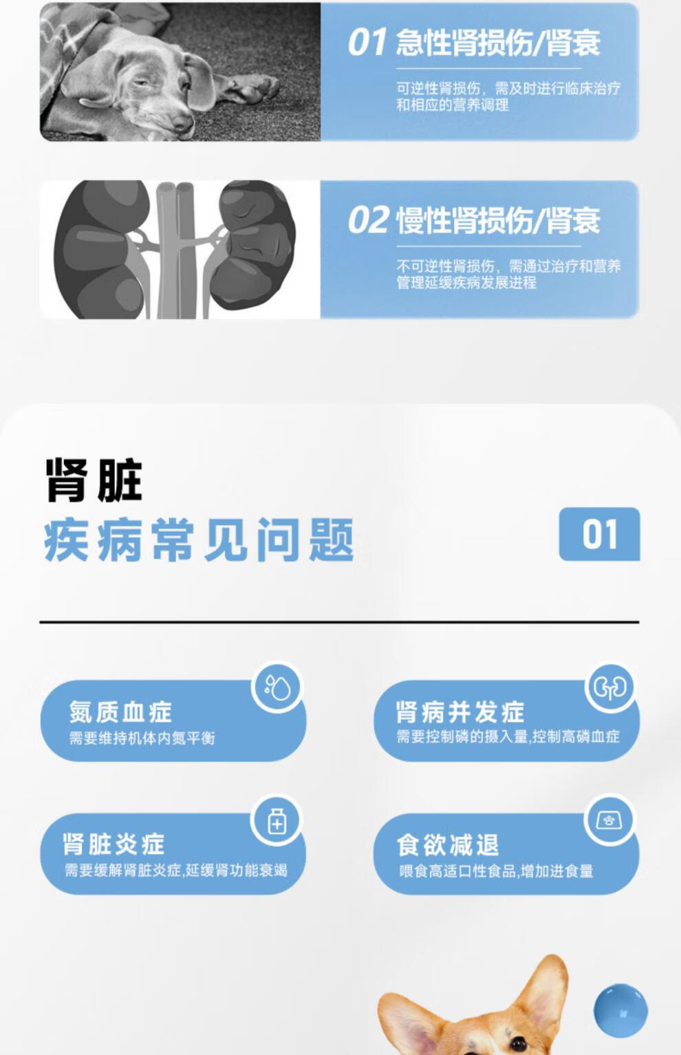 a7c81f3b6626ae1c.jpg