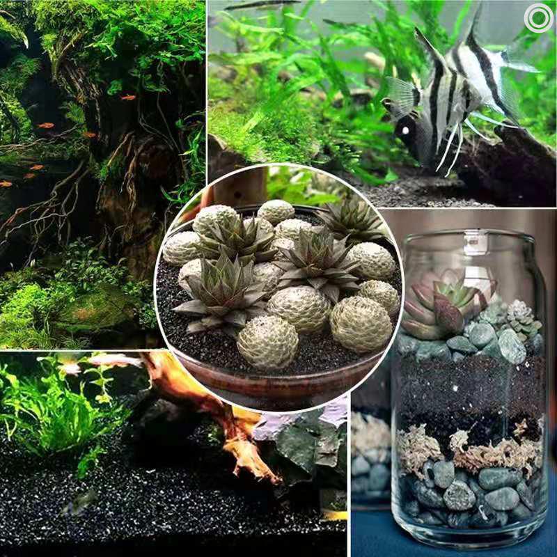 造景黑金沙鱼缸铺底沙水族造景沙花卉多肉盆栽铺面沙灭烟沙过滤沙 5斤