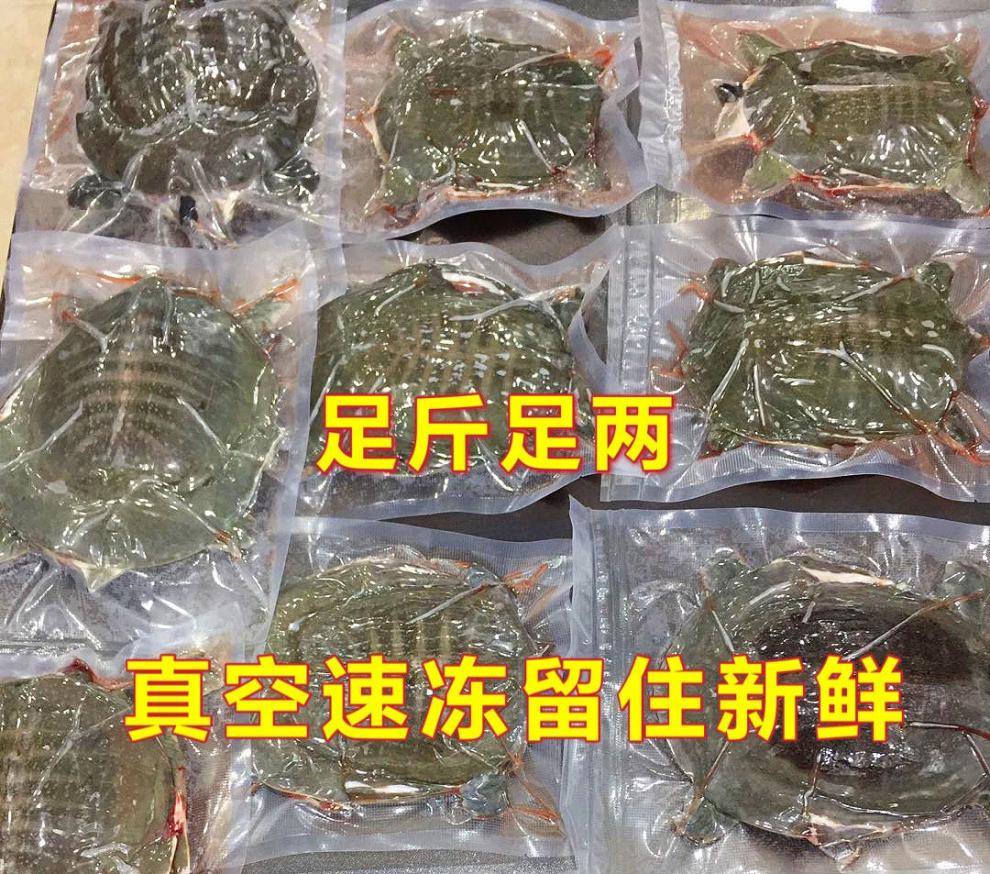 甲鱼批发现杀现发外塘生态老鳖鲜活甲鱼食用王八真空包装新鲜宰杀好