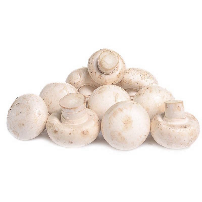 口蘑新鲜白蘑菇双孢菇蔬菜生鲜3斤