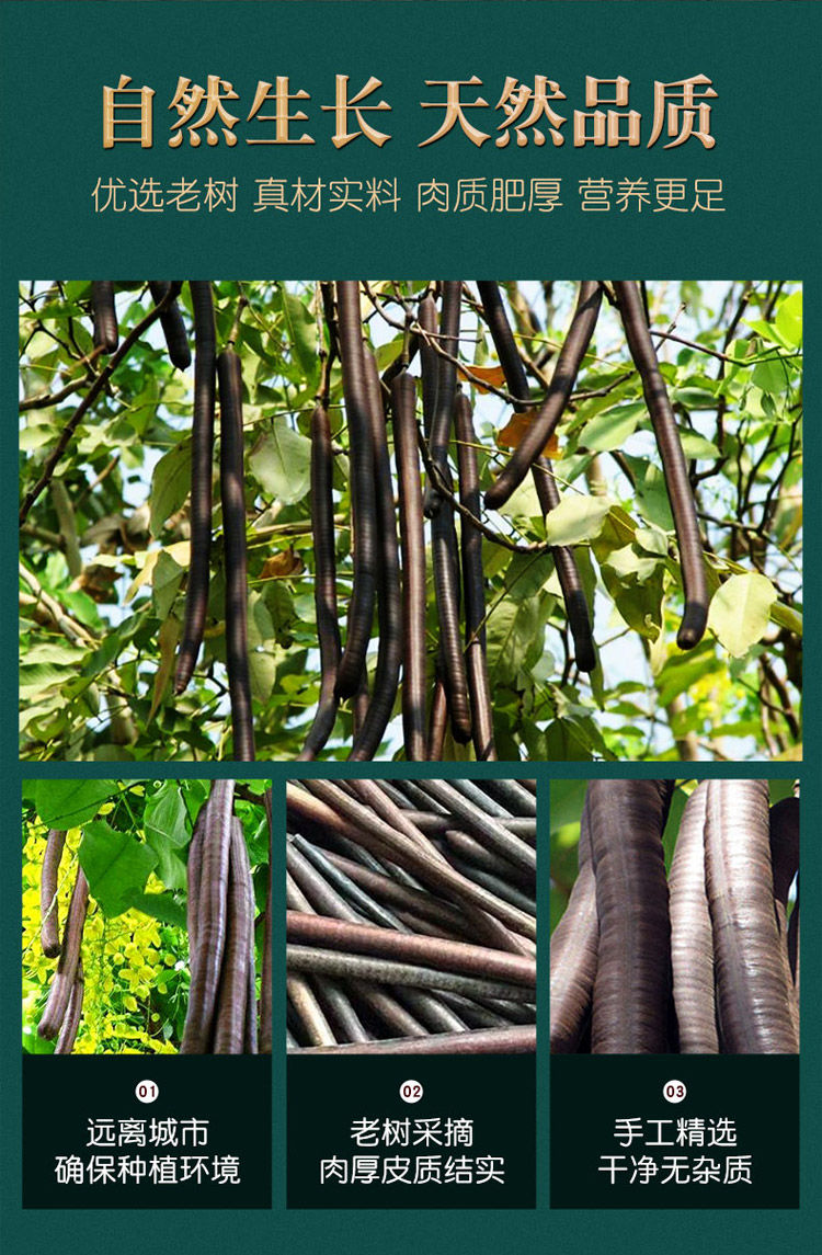 大解果缅甸野生尼泊尔奇异果腊肠树果排宿便果秘果果500克