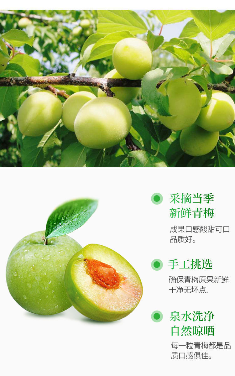 梅子情人梅青梅大果鲜果密浅随便果八十枚加强型