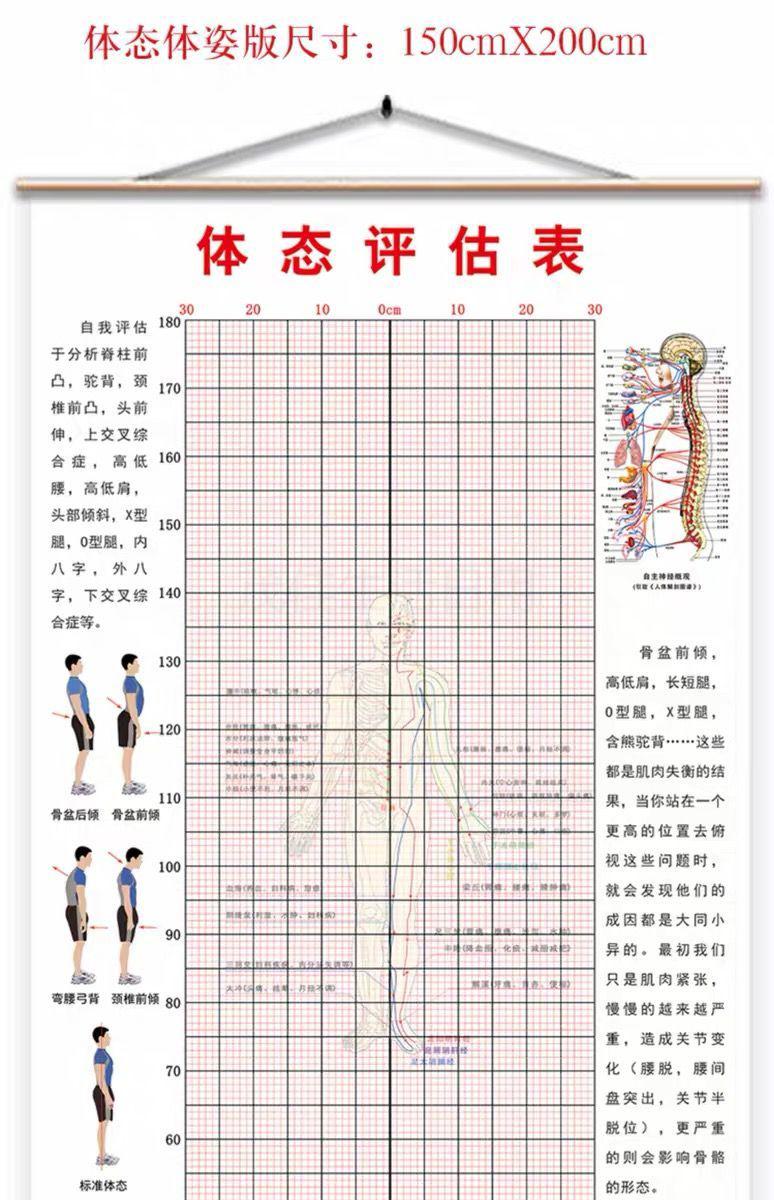 体态评估表挂式体态评估表工作室健身房墙贴瑜伽馆中医养生馆人体体测