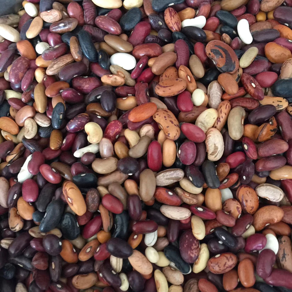 八宝豆农家自产杂芸豆豆类组合红腰豆八宝粥原料杂粮豆 5斤装【图片