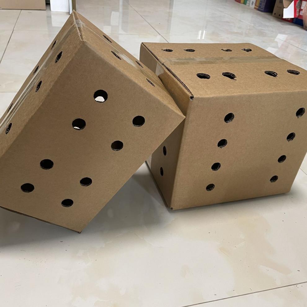 打孔纸箱开孔纸箱活体纸箱活物纸盒搬家快递打包大箱子定做定制 五层