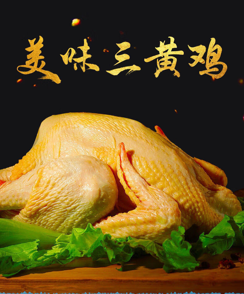 散养三黄鸡批发白条鸡农家老母鸡现宰活杀土鸡笨柴鸡中号1600g两只