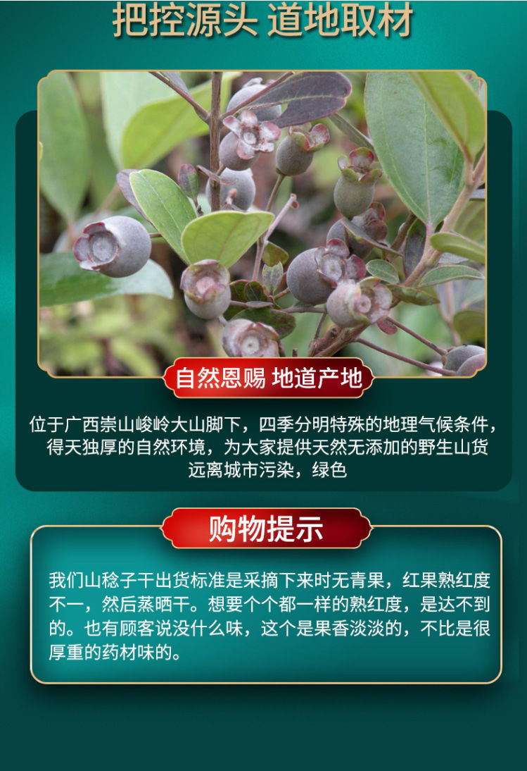 山稔子野生新鲜干果山捻子干桃金娘果泡酒料岗捻子中药材山稔子果精选