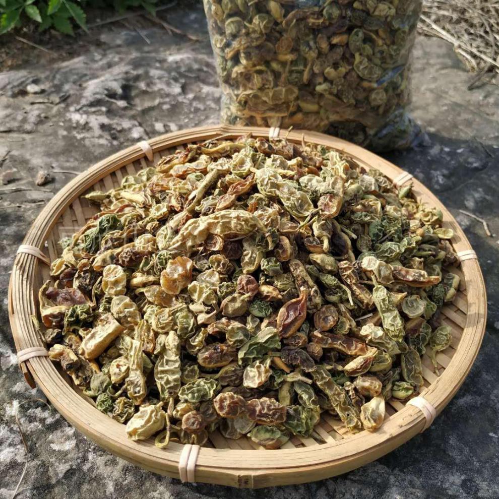 北京同仁堂野生新鲜槐树枝槐枝国槐枝叶五枝汤原料槐