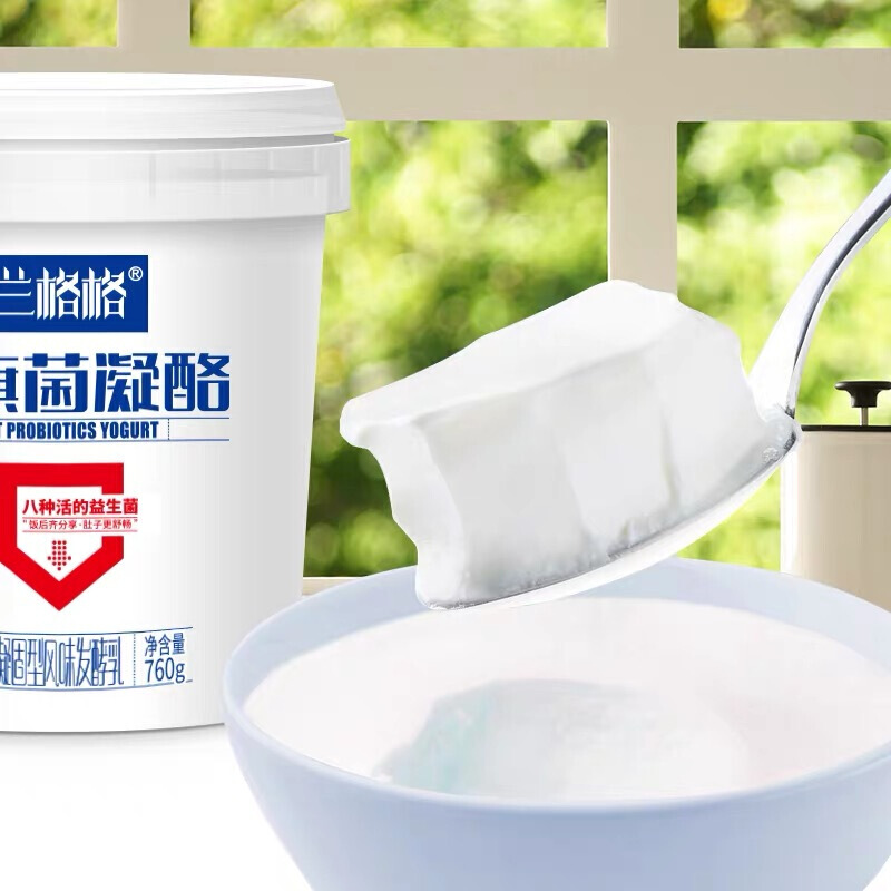 兰格格蒙古酸奶八旗菌凝酪凝固型益生菌发酵乳760g桶装蒙古族酸奶原味