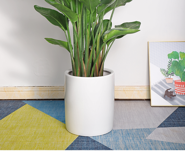 天堂鸟盆栽大型绿植北欧风 植物室内客厅净化空气旅人蕉 120-130cm原