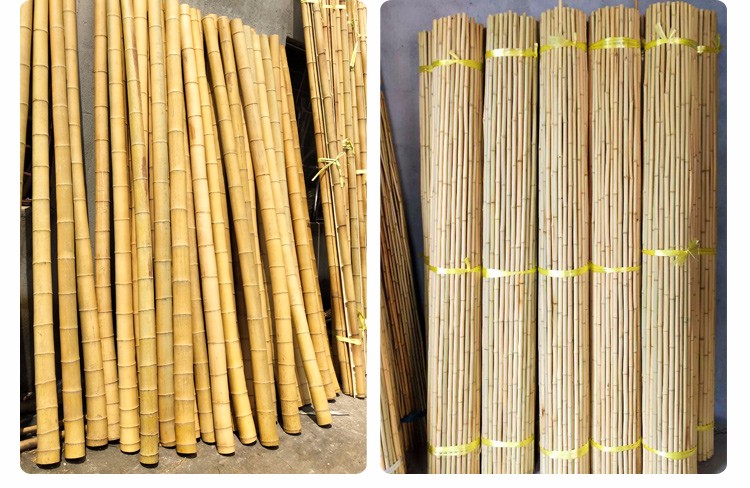 竹竿菜园搭架小竹子细竹竿棍2米旗杆豆角黄瓜支架竹杆子搭架种菜1厘米