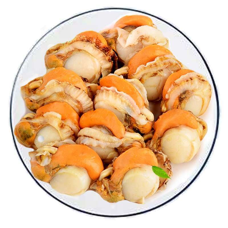 青封铭【现剥带黄】特大号扇贝肉带黄扇贝肉新鲜活无沙扇贝肉海鲜鲜活