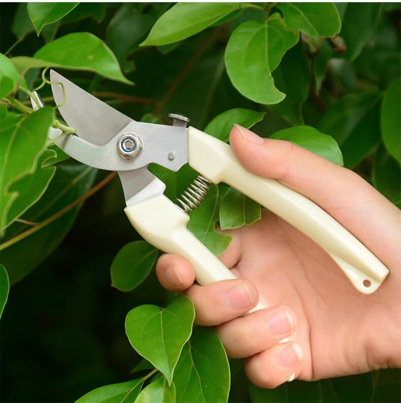 越客盆景修剪造型工具套装盆栽修剪剪刀家用修剪绿植剪刀直头弯头修枝