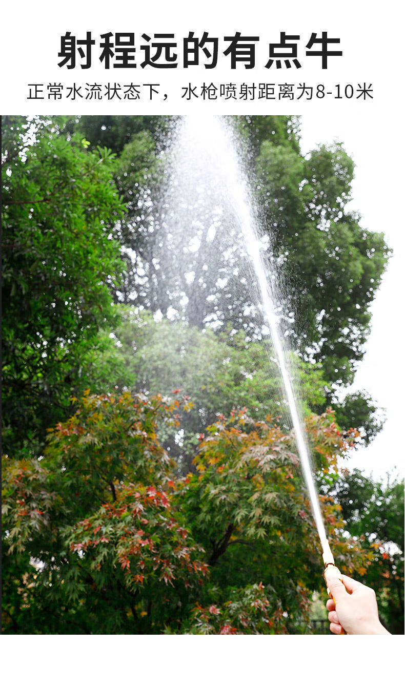 适用于高压洗车水枪家用水枪喷头全铜喷枪四分水管软管浇花冲地洗车