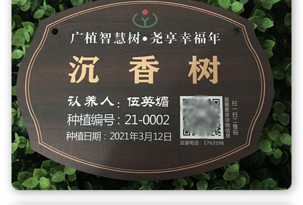 金属树牌树户外植物挂牌花草牌树木身份牌绿化牌不锈钢介绍牌 玫瑰金