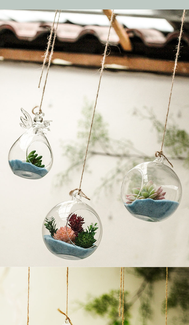 自然植物角装饰玻璃吊瓶假多肉微景观幼儿园空中吊饰环创布置悬挂锋霸