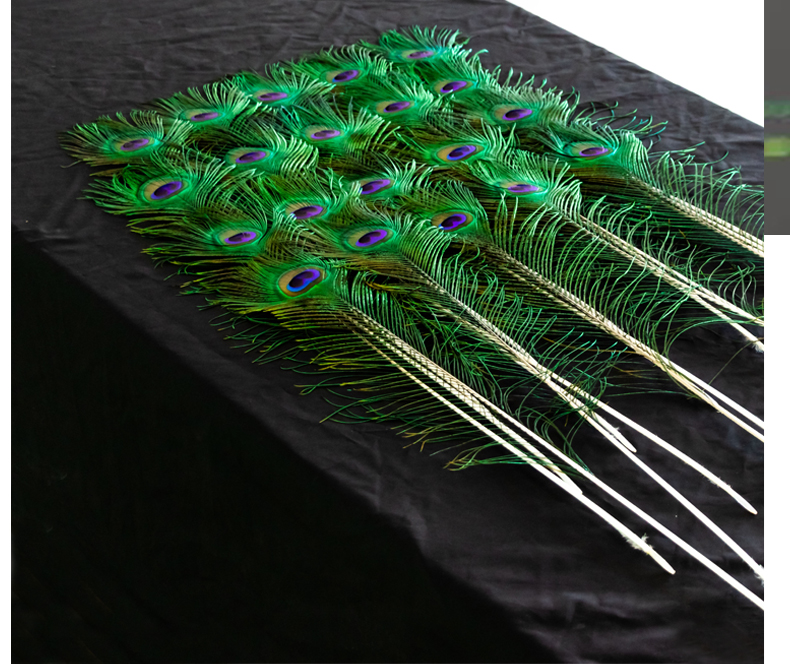 孔雀羽毛花瓶孔雀毛真羽毛孔雀翎尾婚庆装饰品 孔雀天鹅花瓶 羽毛套装