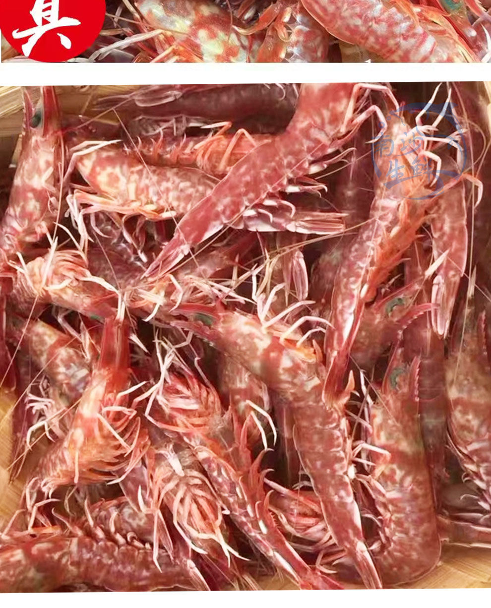 南海天然樱花虾红虾鲜活大虾刺身甜虾海虾海鲜水产批发活冻对虾五斤装