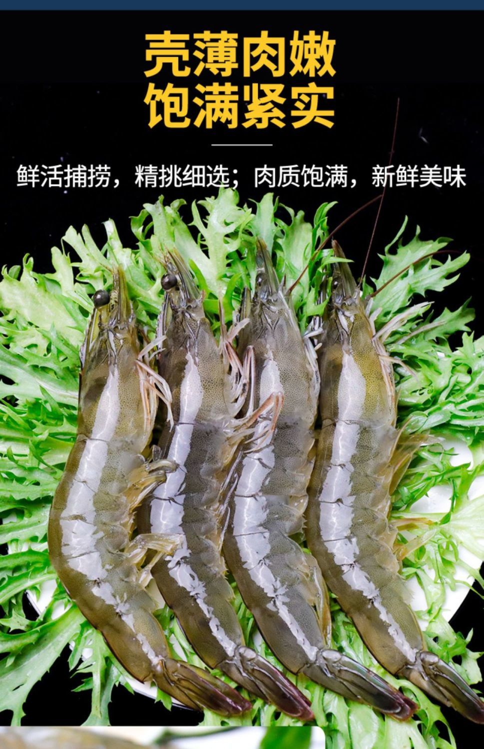 青岛大虾鲜活新鲜盐冻大虾特大号批发一箱对虾基围虾白虾海捕大虾1113