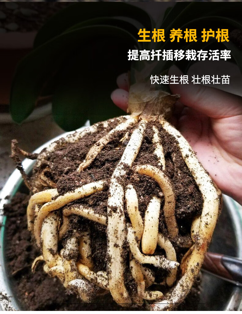 生根粉植物通用扦插专用壮苗快速强力剂多肉移栽水溶肥生根粉120克