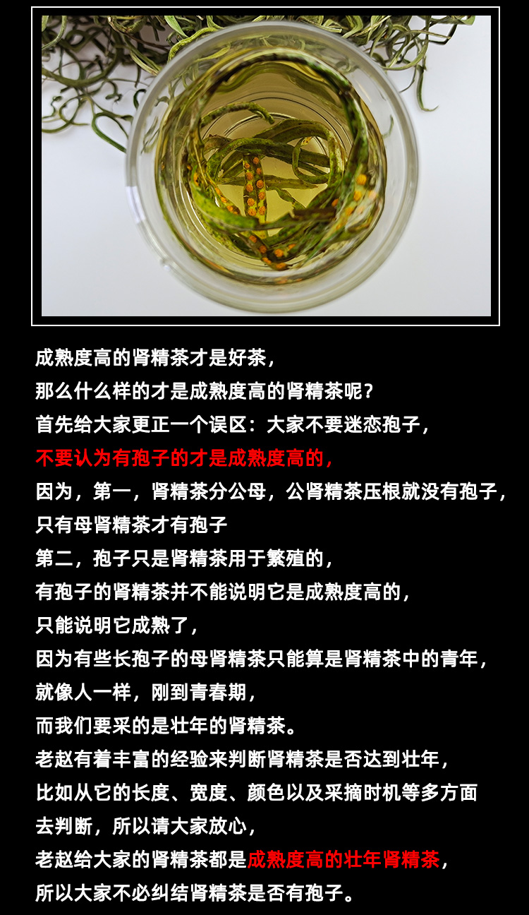 长白山野生肾精茶肾精草肾精草茶东北草石韦草石苇草250g新货100克