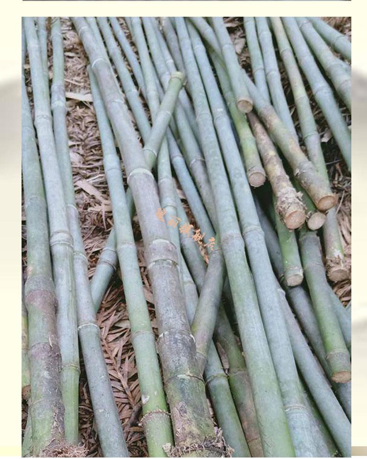 生态同款 竹雕竹刻手把件 精品实心竹玉竹雕毛料精磨老玉竹挂件文玩件