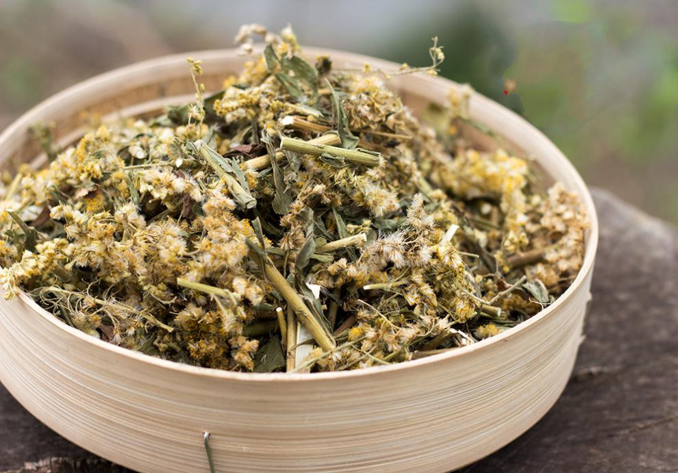 一枝黄花野生农家一支黄花新鲜采收草药老虎尿中药材干贵州