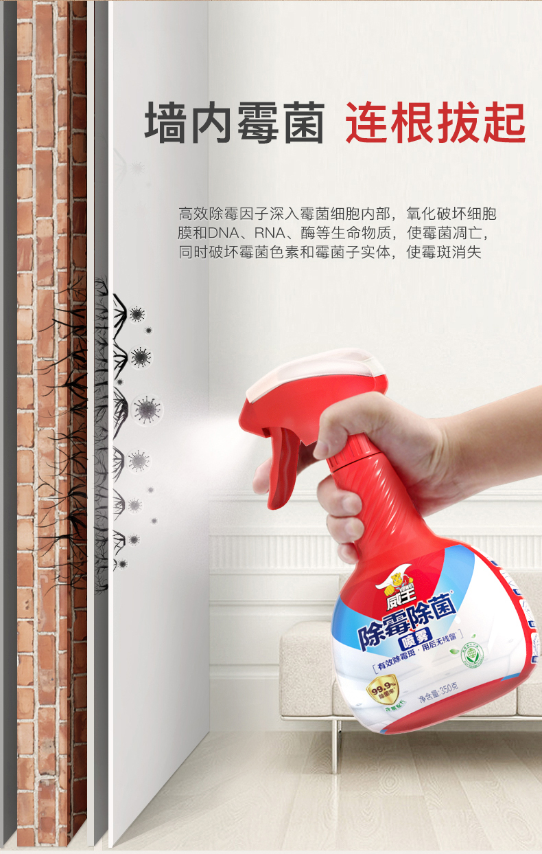 威王墙体墙面除霉剂去霉斑霉菌防霉清除喷雾350g除霉喷雾350g